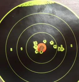 17hmr 17g at 100 yds