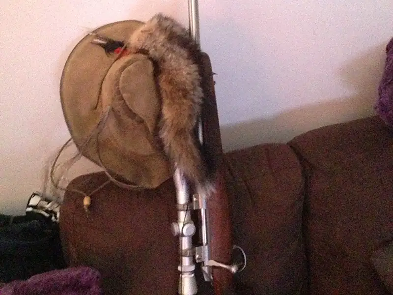 My First Fox