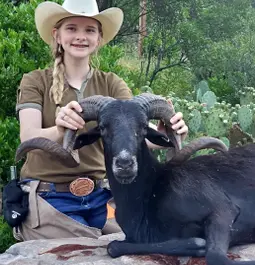 Texas Hill Country Ram Hunt