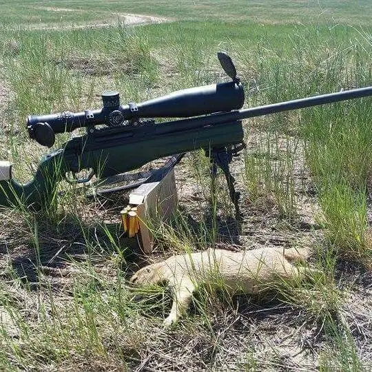 Sometimes more gun is just fun