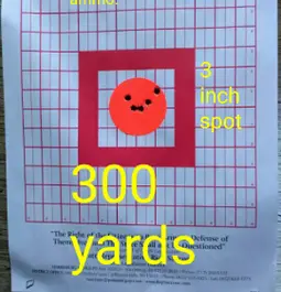 Try this ammo. 