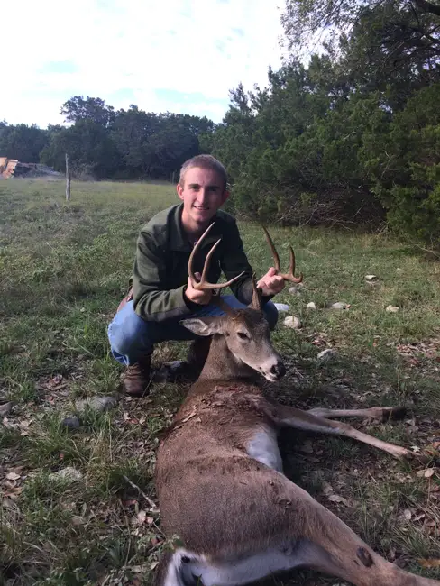 Early Afternoon Buck