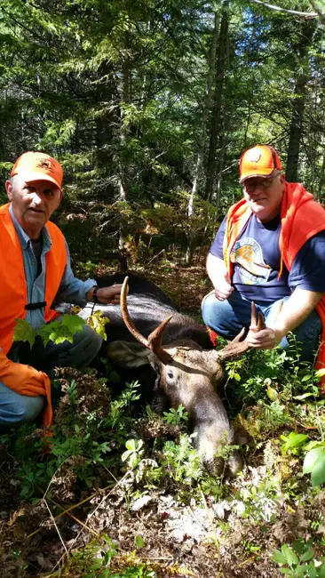 2016 moose hunt