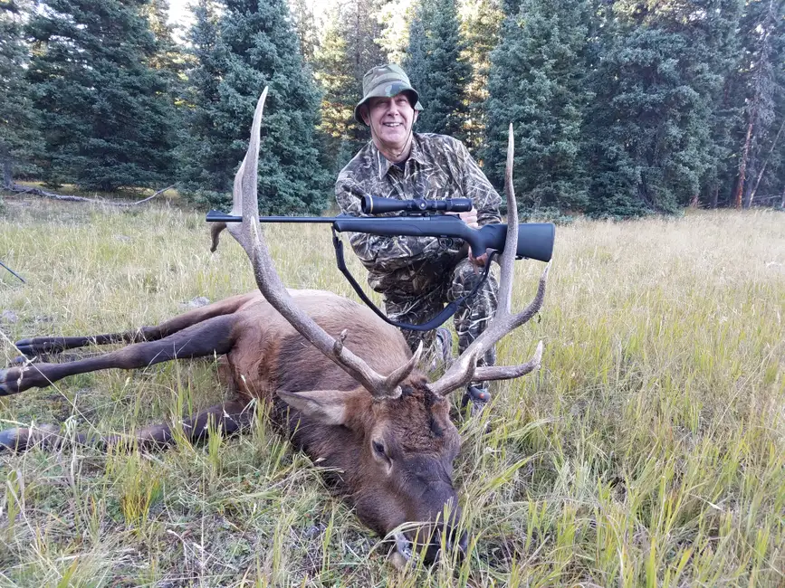 First Elk 6 x 6 in Chama New Mexico