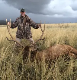 My first bull