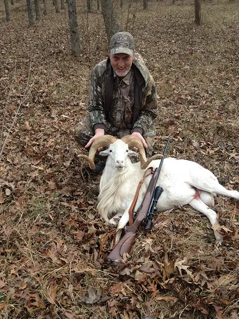 My first Ram