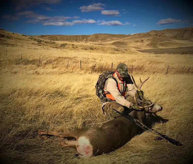 Hornady 6.5 Creedmoor 143 grain Precision Hunter