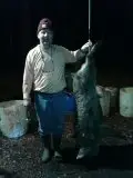 SC Hog Hunting
