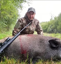 Big boar in France !