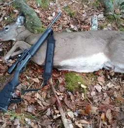 Deer Season November 2015