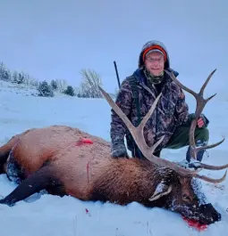 First Elk with ELD-X