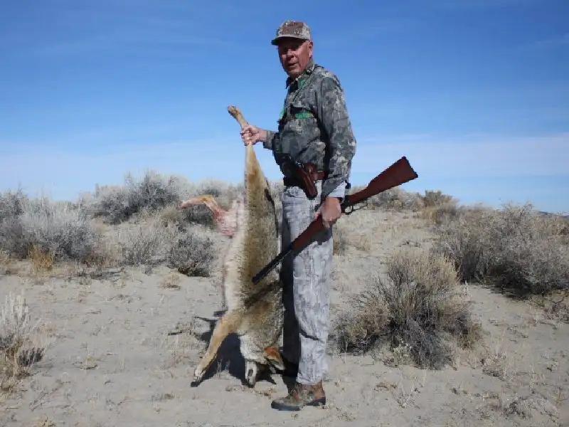 Coyote and 85 gr XTP, .32 Mag