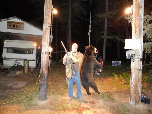 First Bear