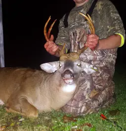 8pt