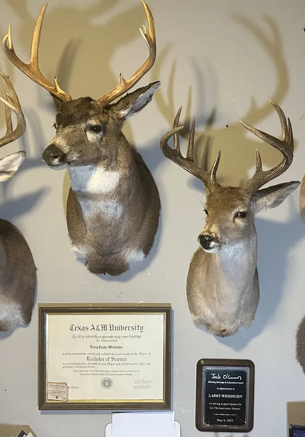 Choosing a taxidermist