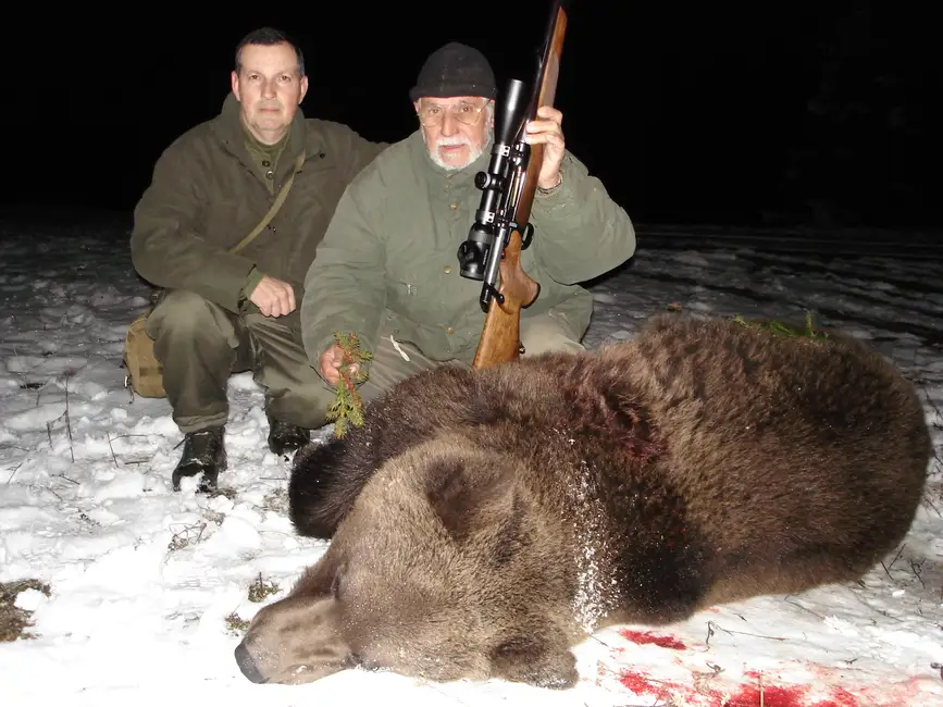 my first brown bear