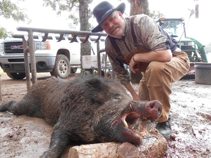Mad Boar