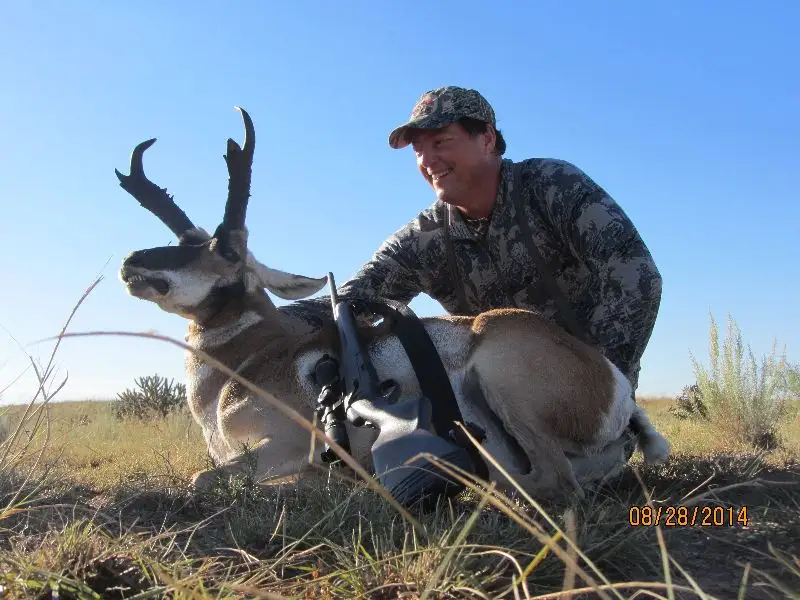 New Mexico Pronghorn