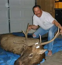 First Bull Elk