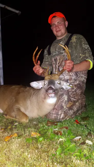 8pt