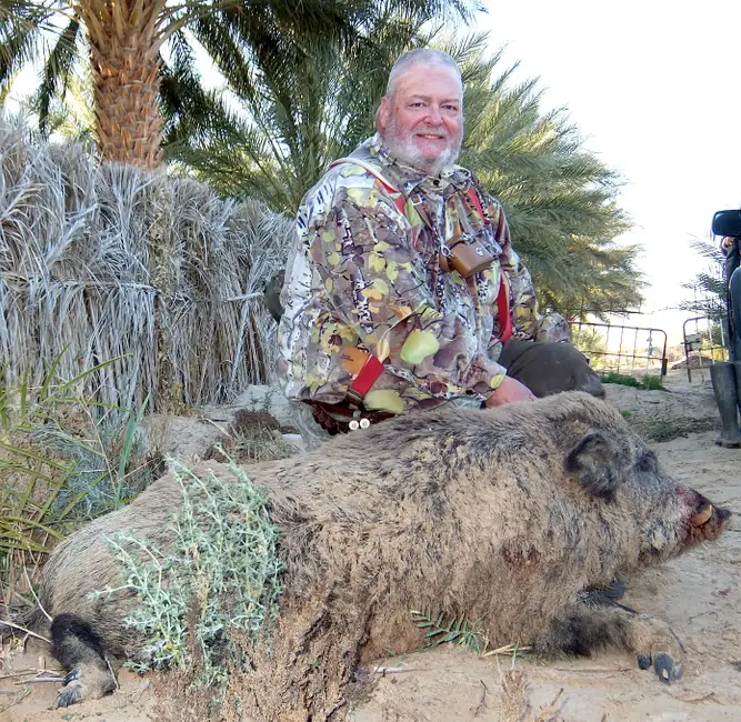Tunisian Wild Boar