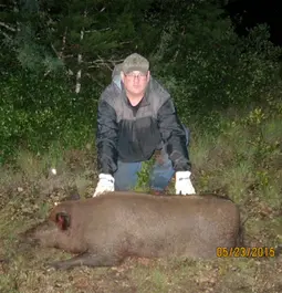 TEXAS HOG