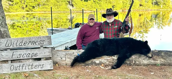 Black Bear During the Season of the Painted Leaves