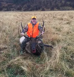 1st Bull Elk