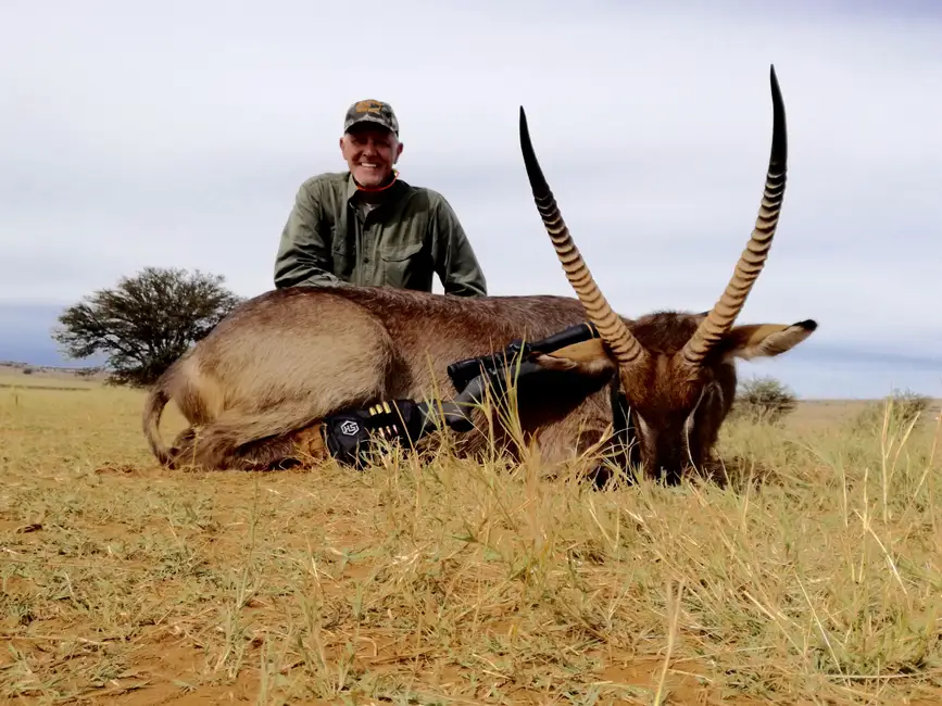 Monster Waterbuck
