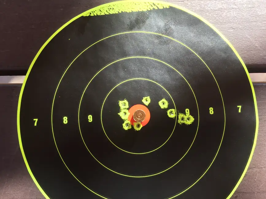 17hmr 17g at 100 yds