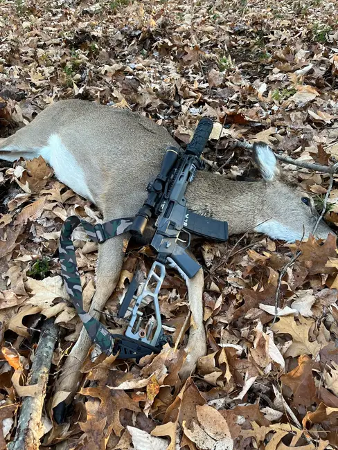 Thank you Team Hornady