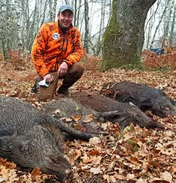 4 wild boars in France with Hornady SST