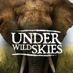 Under Wild Skies Logo