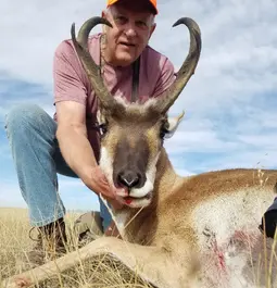 Wyoming Pronghorn