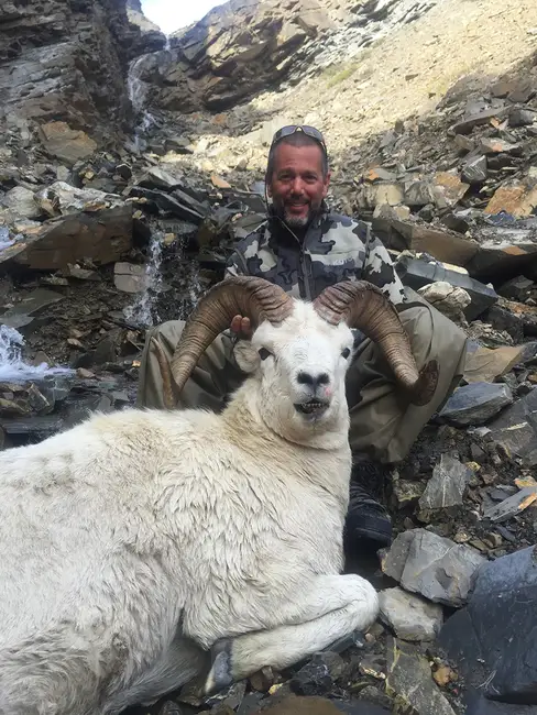 Alaska Dall Sheep Hunt
