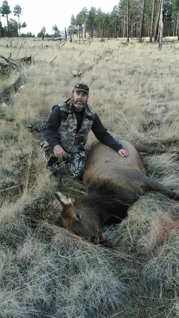 Amazing hunt