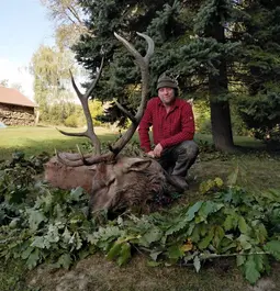 My first Red Deer Bull