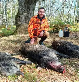SHOOTING 6 BOARS IN FRANCE with Hornady SST Superformance