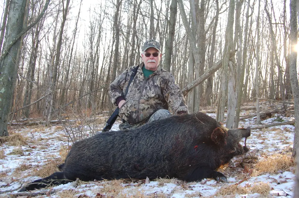 Wild Hogs