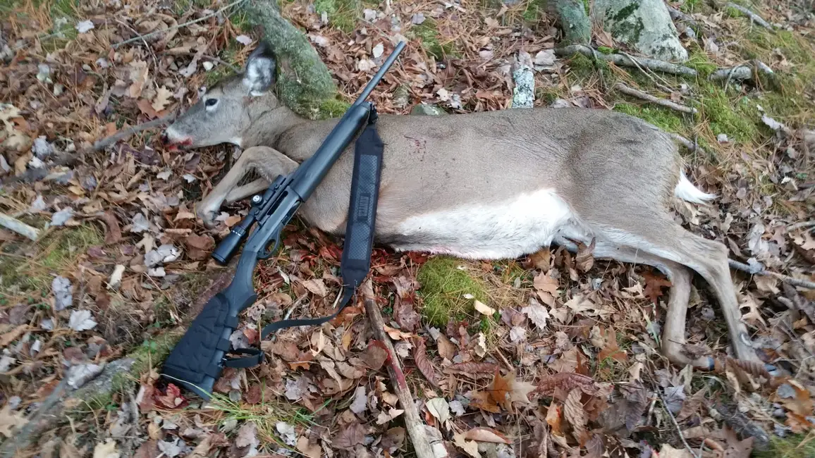Deer Season November 2015